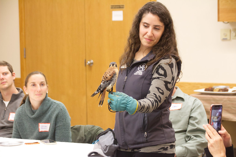 Thanksgiving With The Birds Returns To Audubon News, Sports, Jobs